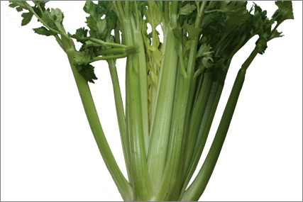 bladselleri