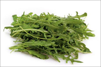 rucola